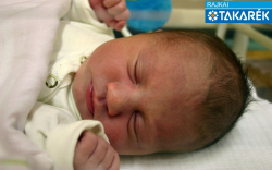 Parapatics Mira, Mosonmagyaróvár