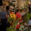 Termény- és virágkiállítás 