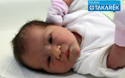 Horváth Lilien, Mosonmagyaróvár