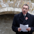 2015. MÁRCIUS 15. Mosonmagyaróvár (Fotó: Horváth Attila)