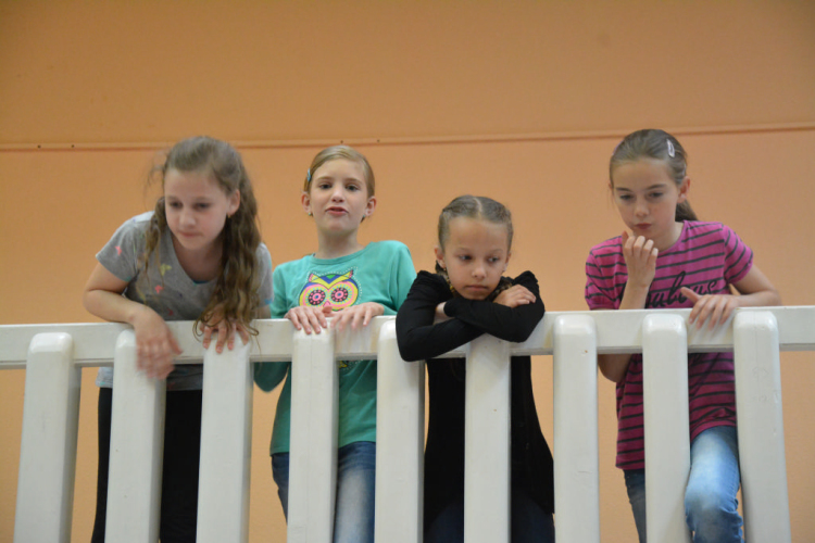 Nyárcsalogató (Fotó: Nagy Mária)