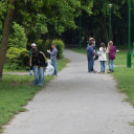 TeSzedd - Újhelyisek a Wittman parkban