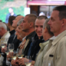 VII. Szigetköz ízei, Vármegye borai fesztivál péntek 1. (Fotó: Nagy Mária)