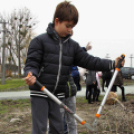 Kőrisfacsemetéket ültettek a diákok a Nolato Magyarország Kft telephelyén