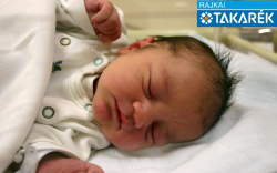 Reuberger Maximilián, Dunakiliti