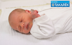 Artner Ármin, Hédervár