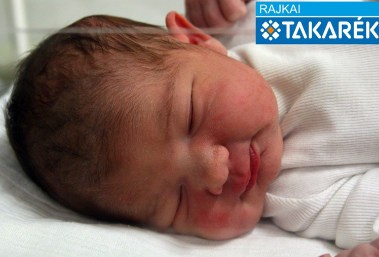 Bertalan Gréta, Győrladamér