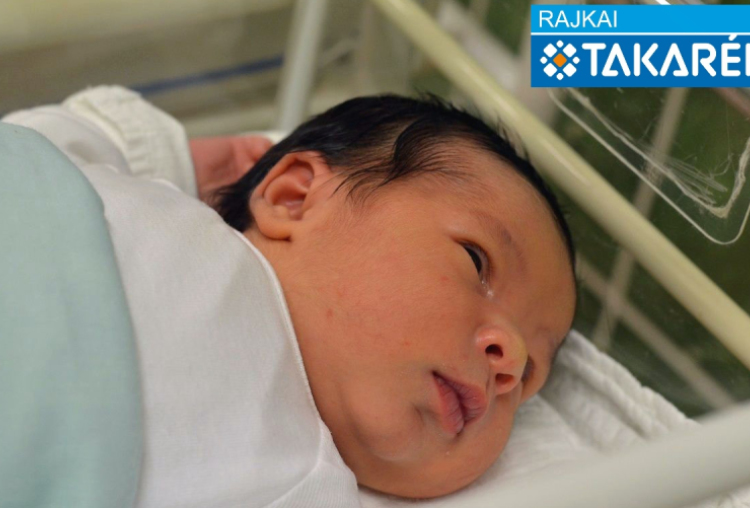 Sztojka Zoltán, Mosonmagyaróvár