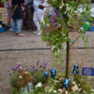VI. Apró kezek, Csodakertek Gyermek Kertépítő verseny (Fotó: Bánhegyi István)