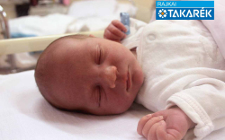 Dallos Zalán, Hegyeshalom