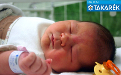 Vig Léna Alicia, Újrónafő