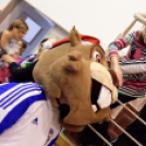 MKCSE VS GYŐRI AUDI ETO KC jótékonysági mérkőzés (Fotó: Horváth Attila)