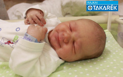 Tóth-Maklári Benett, Mosonmagyaróvár