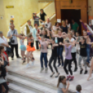 Nyárcsalogató (Fotó: Nagy Mária)