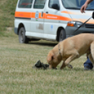 4. Kéklámpás Nap (Fotó: Horváth Attila)