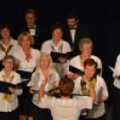 Jótékonysági műsor a Családok Átmeneti Otthona javára (Fotó: Nagy Mária)