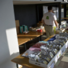 III. Szigetközi Gyógynövénynap megnyitó