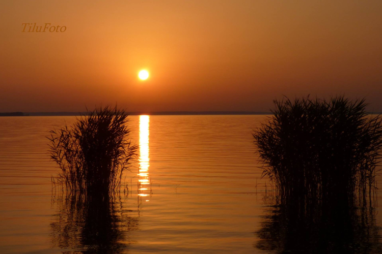 Kerekesszéktől az önálló fotókiállításig