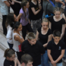 Nyárcsalogató (Fotó: Nagy Mária)