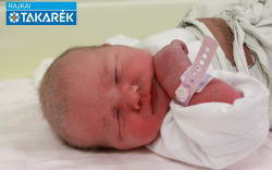 Karácsonyi Szintia, Mosonmagyaróvár