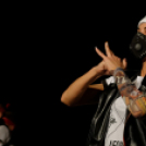 Mosonmagyaróvári Kossuth Lajos Gimnázium: 