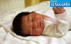 Oláh Katalin Nóra, Mosonmagyaróvár