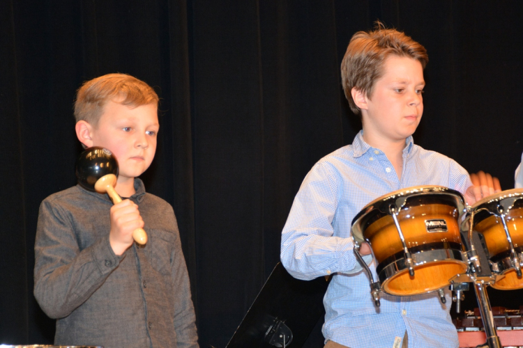 DOBszerda (Fotó: Bánhegyi István)