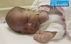 Zimmerer Vivien, Mosonmagyaróvár