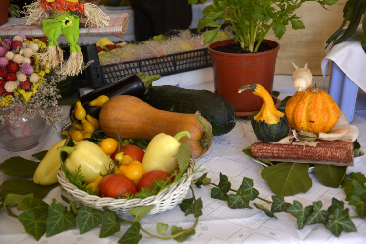 Termény- és virágkiállítás 