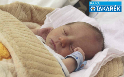 Elek Milán, Mosonmagyaróvár