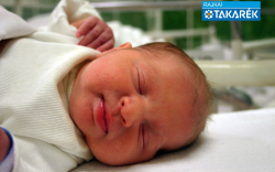 Deák-Sikos Dominik, Mosonmagyaróvár