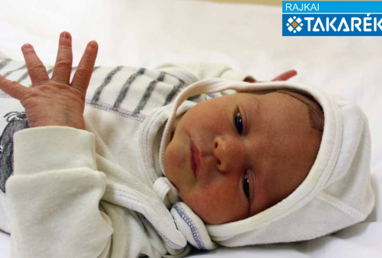 Horváth Zétény, Kapuvár