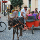 KULT - UTCA Hobbi nap (Fotó: Nagy Mária)