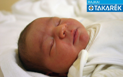 Bankó Virág, Rajka