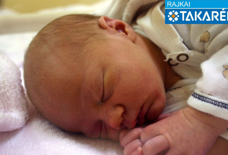 Petrekovits Maja, Mosonmagyaróvár