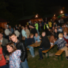 Szigetköz ízei, vármegye borai fesztivál - péntek (Fotó: Nagy Mária)