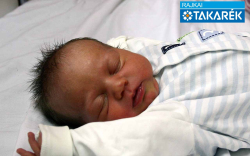 Turi Péter Milán, Csorna