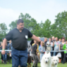 CAC kutyakiállítás (Fotó: Nagy Mária)