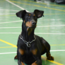 Az ókor titkai című történelmi vetélkedő