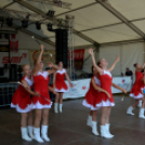 Szigetköz ízei, Vármegye borai Fesztivál 3 nap, 140 Éves Mosonmagyaróvár Város Tűzoltósága (Fotó: Bánhegyi István)