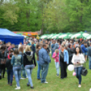 Városi Majális - Péntek (Fotó: Nagy Mária)