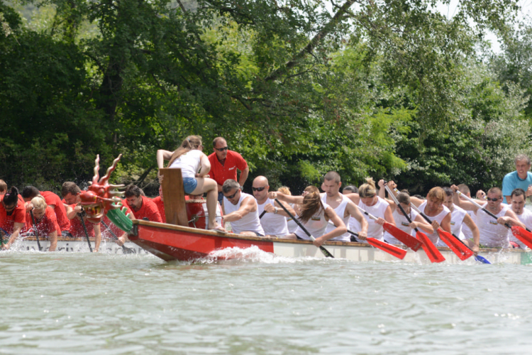 Voluta 2014 szombat /versenyek/