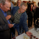 KOMP 2015 - Kortárs Művészeti Panoráma (Fotó: Horváth Attila)