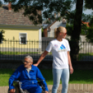 Faültetés az Idősök otthonában