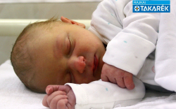 Telkes Levente, Hegyeshalom