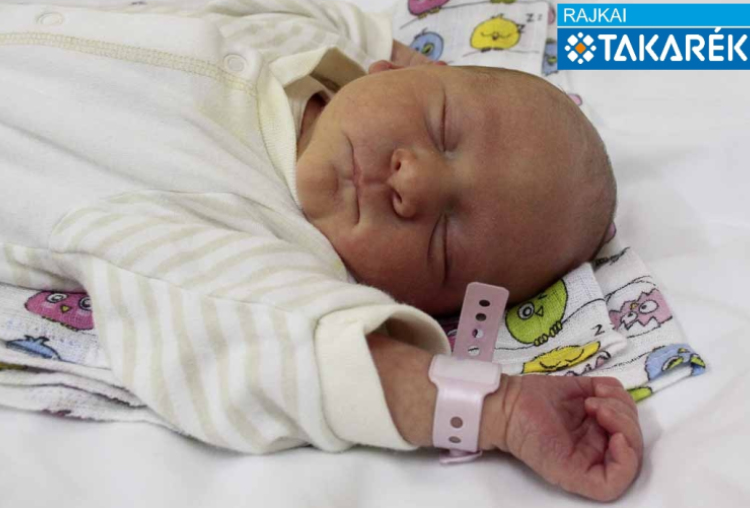 Farkas Véda, Mosonmagyaróvár