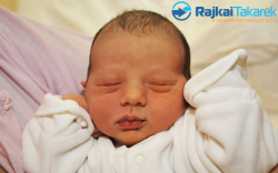 Németh Csongor Olivér, 3400 gr. Győr