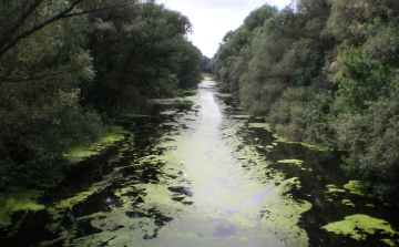 Kenuzás közben a vízbe borultak és az egyik utas meghalt