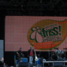 Friss Fesztivál 2013.