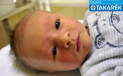 Szabó Barnabás, Várbalog